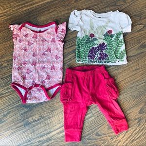 Tea Collection bundle